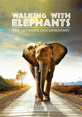 Walking with Elephants the Ultimate Documentary