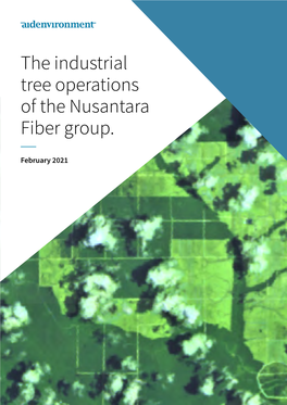 The Industrial Tree Operations of the Nusantara Fiber Group