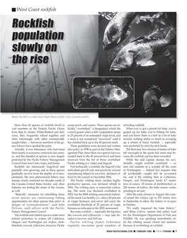 Rockfish Population Slowly on the Rise