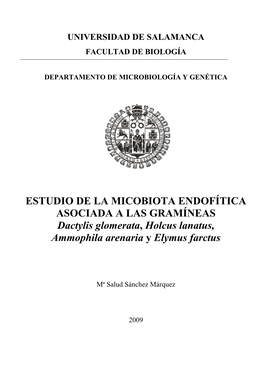 ESTUDIO DE LA MICOBIOTA ENDOFÍTICA ASOCIADA a LAS GRAMÍNEAS Dactylis Glomerata, Holcus Lanatus, Ammophila Arenaria Y Elymus Farctus