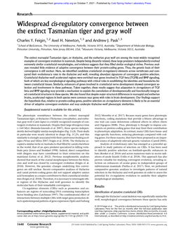 Widespread Cis-Regulatory Convergence Between the Extinct Tasmanian Tiger and Gray Wolf