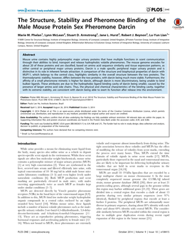 The Structure, Stability and Pheromone Binding of the Male Mouse Protein Sex Pheromone Darcin