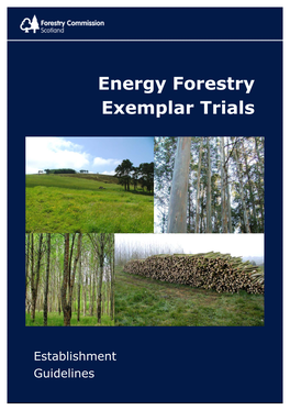 Energy Forestry Exemplar Trials Establishment