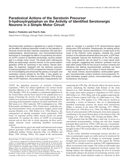 Paradoxical Actions of the Serotonin Precursor 5-Hydroxytryptophan on the Activity of Identiﬁed Serotonergic Neurons in a Simple Motor Circuit