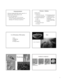 Announcements Protists - Outline Reading: Chap