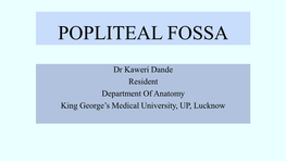 Popliteal Fossa