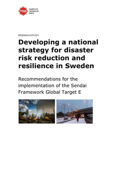 How Sweden Could Develop a National and Local DRR Strategies