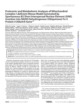 Proteomic and Metabolomic Analyses of Mitochondrial Complex I-Deficient