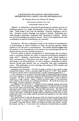 A Mechanism for Genetic Recombination Generating One Parent and One Recombinant* by Thierry Boon and Norton D