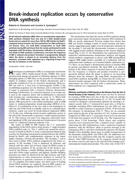 Break-Induced Replication Occurs by Conservative DNA Synthesis