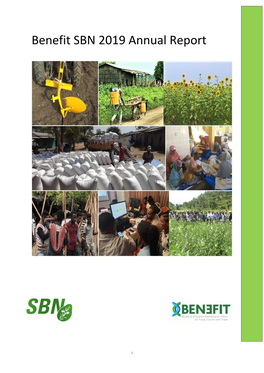 Benefit SBN 2019 Annual Report