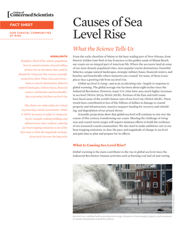 Causes of Sea Level Rise