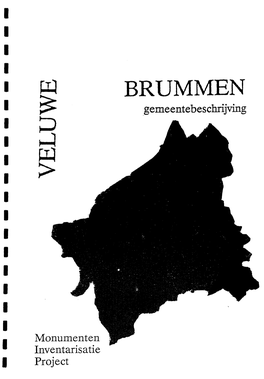 BRUMMEN O Gemeentebeschrijving