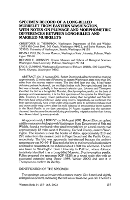 Specimen Record of a Long-Billed Murrelet from Eastern Washington, with Notes on Plumage and Morphometric Differences Between Long-Billed and Marbled Murrelets