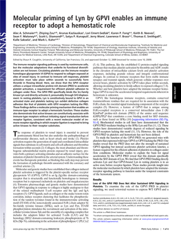 Molecular Priming of Lyn by GPVI Enables an Immune Receptor to Adopt a Hemostatic Role