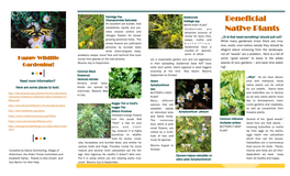 Beneficial Native Plants