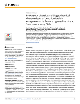 Prokaryotic Diversity and Biogeochemical Characteristics of Benthic Microbial Ecosystems at La Brava, a Hypersaline Lake at Salar De Atacama, Chile