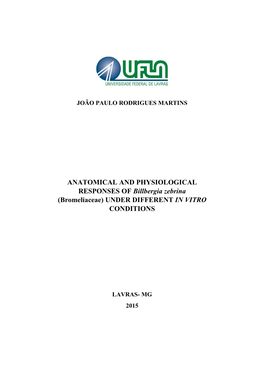 ANATOMICAL and PHYSIOLOGICAL RESPONSES of Billbergia Zebrina (Bromeliaceae) UNDER DIFFERENT in VITRO CONDITIONS