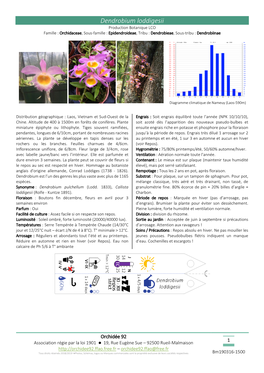 Dendrobium Loddigesii Production Botanique LCO Famille : Orchidaceae, Sous-Famille : Epidendroideae, Tribu : Dendrobieae, Sous-Tribu : Dendrobiinae
