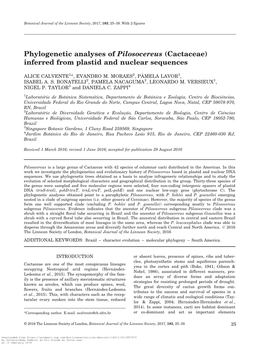 Phylogenetic Analyses of Pilosocereus (Cactaceae) Inferred from Plastid and Nuclear Sequences