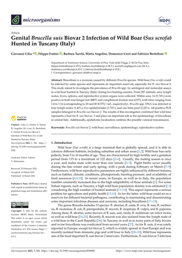 Genital Brucella Suis Biovar 2 Infection of Wild Boar (Sus Scrofa) Hunted in Tuscany (Italy)