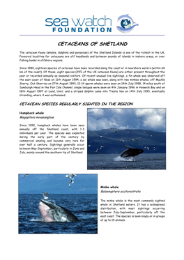 Cetaceans of Shetland Waters