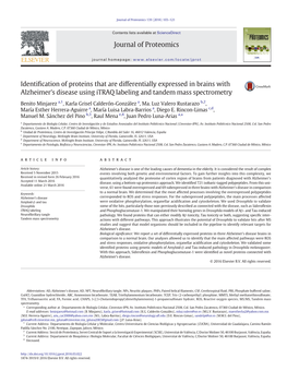 Identification of Proteins That Are Differentially Expressed in Brains