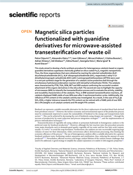 Magnetic Silica Particles Functionalized with Guanidine Derivatives For