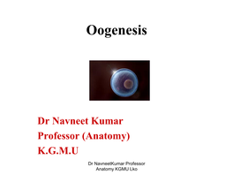 Oogenesis [PDF]