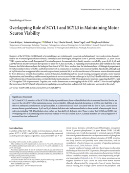 Overlapping Role of SCYL1 and SCYL3 in Maintaining Motor Neuron Viability