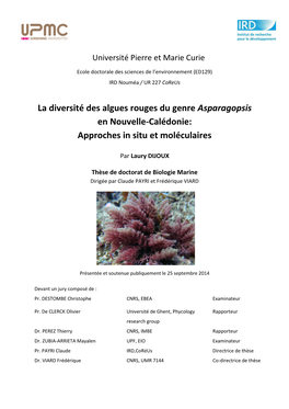 La Diversité Des Algues Rouges Du Genre Asparagopsis En Nouvelle‐Calédonie: Approches in Situ Et Moléculaires