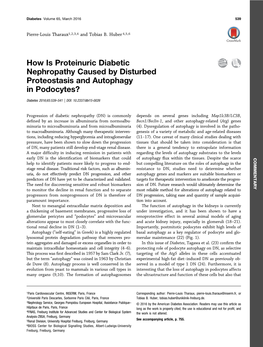 How Is Proteinuric Diabetic Nephropathy Caused by Disturbed Proteostasis and Autophagy in Podocytes?