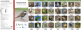 Woodland Birds NE VIC 2018 Online