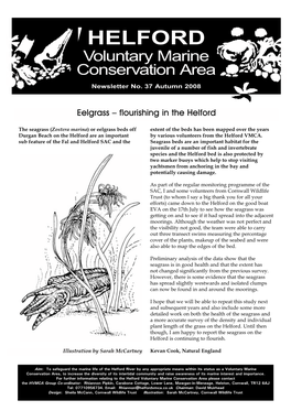 Helford Marine Conservation Group, Members Section MEMBERSHIP CHAIRMAN’S AUTUMN NEWSLETTER, 2008