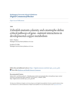 Zebrafish Mutants Calamity and Catastrophe Define Critical Pathways of Gene–Nutrient Interactions in Developmental Copper Metabolism Erik C