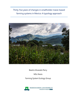 Thirty-Five Years of Changes in Smallholder Maize-Based Farming Systems in Mexico: a Typology Approach