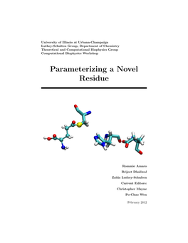 Parameterizing a Novel Residue