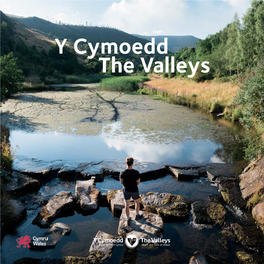 The Valleys Y Cymoedd