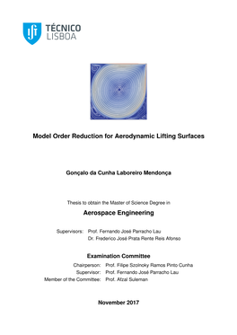 Model Order Reduction for Aerodynamic Lifting Surfaces Aerospace Engineering