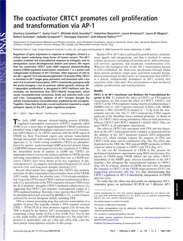 The Coactivator CRTC1 Promotes Cell Proliferation and Transformation Via AP-1