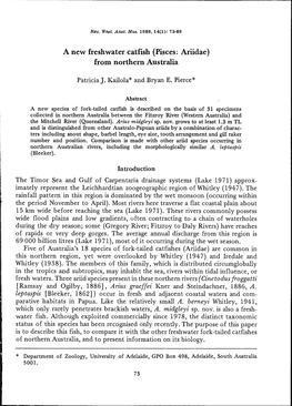 A New Freshwater Catfish (Pisces: Ariidae) from Northern Australia