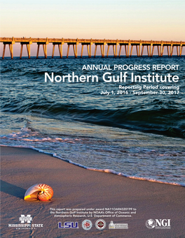 NGI Progress Report September 2017