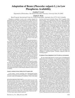 Adaptation of Beans (Phaseolus Vulgaris L.) to Low Phosphorus Availability Jonathan P