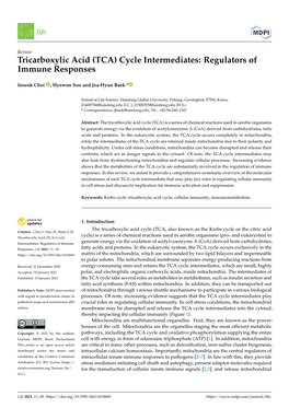 Tricarboxylic Acid (TCA) Cycle Intermediates: Regulators of Immune Responses
