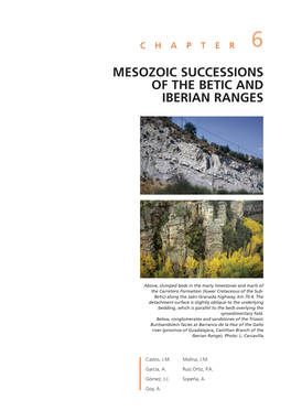 Chapter 6: Mesozoic Successions of the Betic and Iberian Ranges