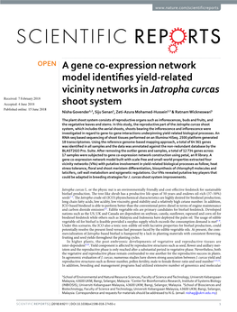 A Gene Co-Expression Network Model Identifies Yield-Related Vicinity