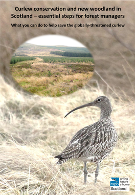 Curlew Conservation and New Woodland in Scotland – Essential Steps for Forest Managers