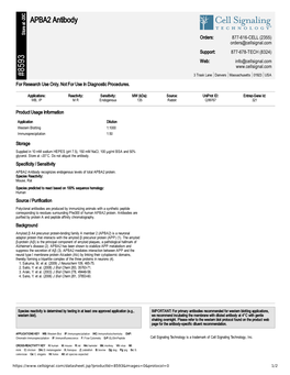 APBA2 Antibody A