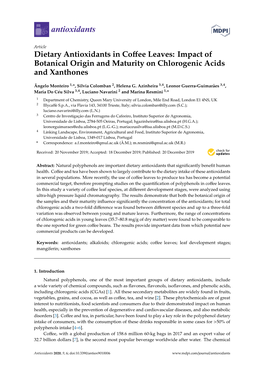 Dietary Antioxidants in Coffee Leaves: Impact of Botanical Origin