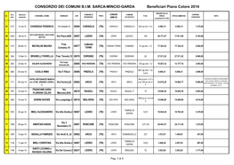 CONSORZIO DEI COMUNI B.I.M. SARCA-MINCIO-GARDA Beneficiari Piano Colore 2014